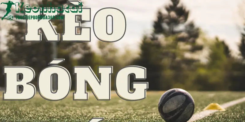 Hướng dẫn đọc kèo bóng đá 1x2 và ăn kèo thành công 3 Kèo bóng đá 1x2 tructiepbongda360