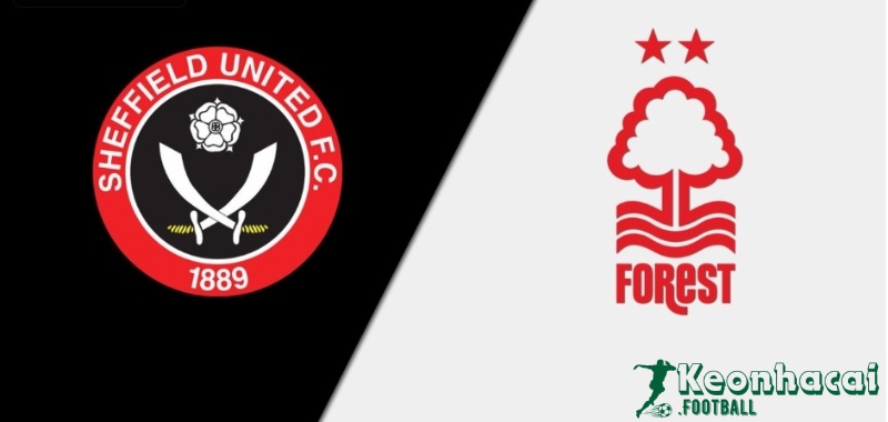 Soi kèo Sheffield vs Nottingham, 21h00 ngày 04/05/2024 1 Soi kèo Sheffield vs Nottingham, 21h00 ngày 04/05/2024