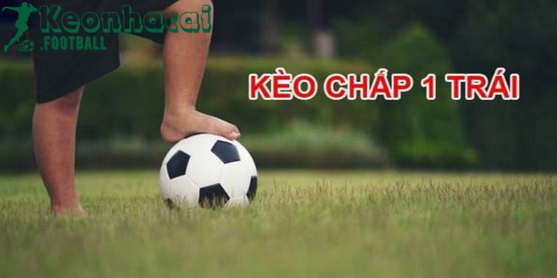 Kèo chấp 1 trái là gì? Kinh nghiệm chơi có tỷ lệ thắng lớn 2 Kèo chấp 1 trái là hình thức theo kèo Châu Á