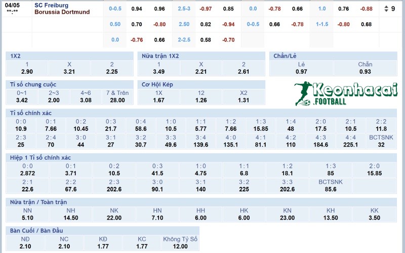 Tỷ lệ kèo Freiburg vs Dortmund