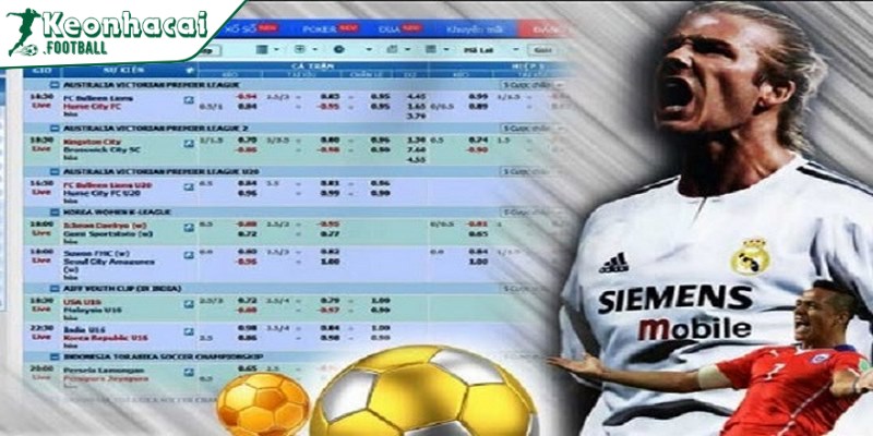 Tỷ lệ kèo trực tiếp là gì? Điểm danh các kèo bóng phổ biến 2 Tỷ lệ kèo trực tiếp tỷ lệ thường được dùng trong cá cược bóng đá