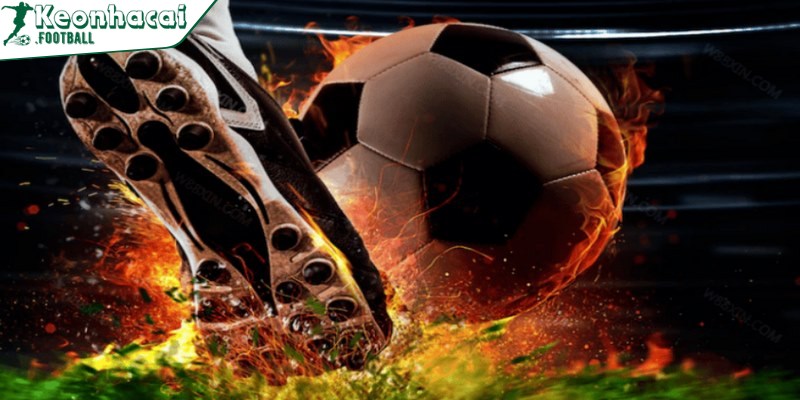 Tỷ lệ cược Hồng Kông là một lựa chọn tuyệt vời cho cả người chơi mới