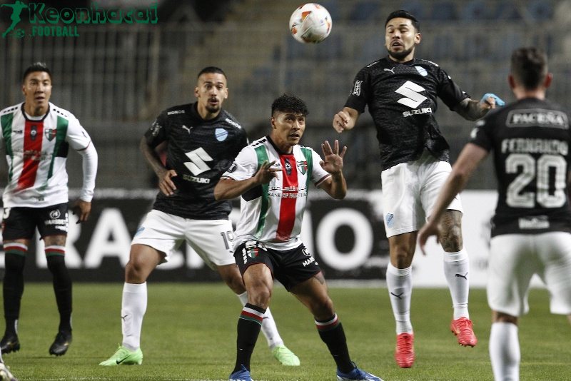 Soi kèo Palestino vs Bolivar - 5h00 ngày 24/7 - Copa Sudamericana 2 Soi kèo Palestino vs Bolivar - 5h00 ngày 24/7