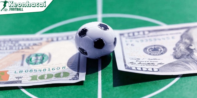 Cách soi tỷ lệ kèo bóng đá trực tuyến cho người mới tham gia