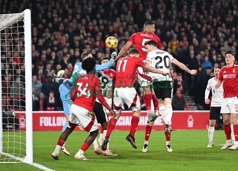 Soi kèo Sturm Graz vs Nottingham - 0h45 ngày 07/11 - Europa League 2 Soi kèo Sturm Graz vs Nottingham - 0h45 ngày 07/11