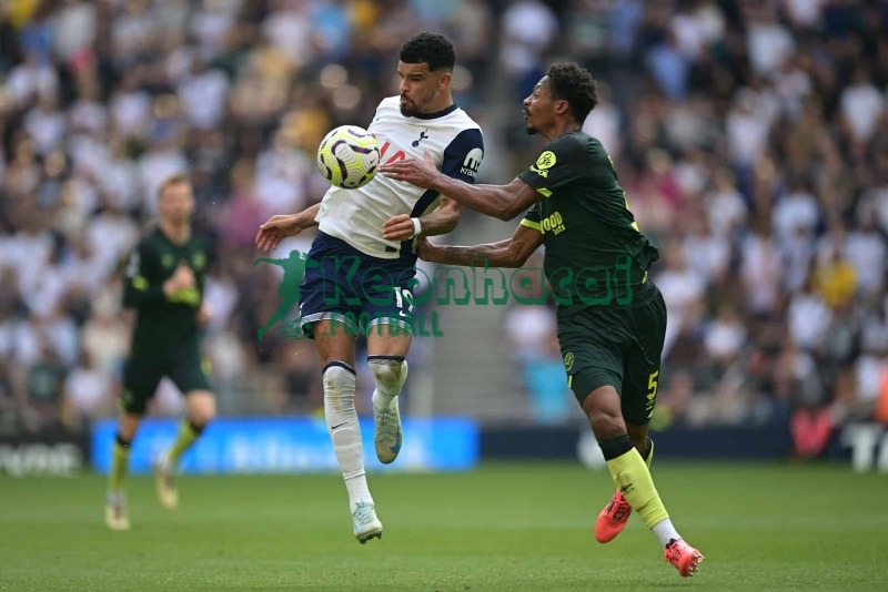 Soi kèo Brentford vs Tottenham - 3h00 ngày 02/01 - Ngoại hạng Anh 2 Soi kèo Brentford vs Tottenham - 3h00 ngày 02/01