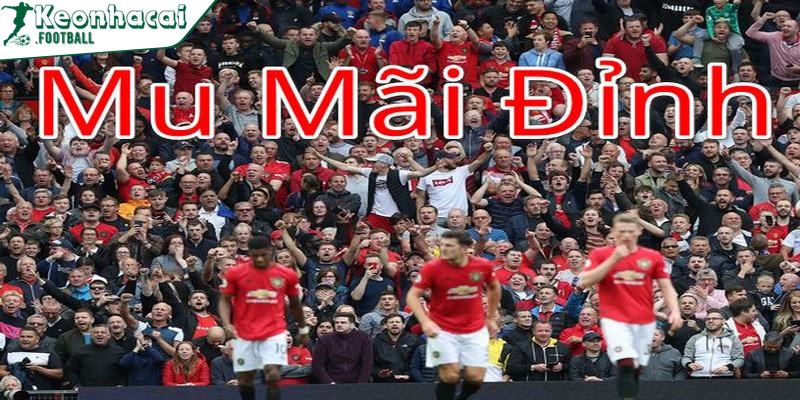 Tại Sao Fan Mu Bị Ghét Và Những Câu Chuyện Bên Lề 4 Fan Mu tỏ ra "vô đối", thường xuyên bị đánh giá là thiếu tôn trọng fan đội khác