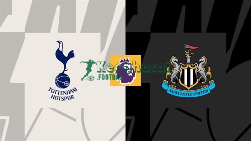 Soi kèo Tottenham vs Newcastle - 2h30 ngày 11/02 - Ngoại hạng Anh 1 Soi kèo Tottenham vs Newcastle - 2h30 ngày 11/02 - Ngoại hạng Anh