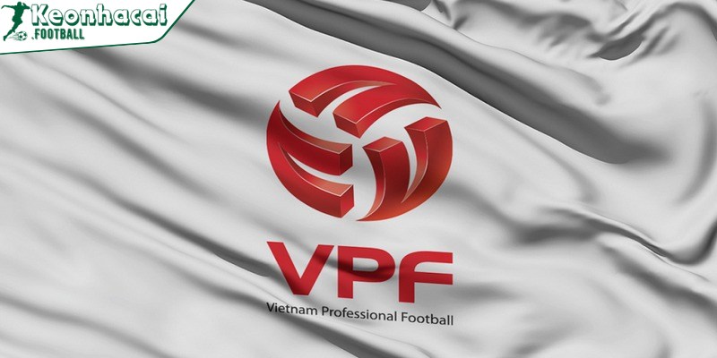 VPF là gì? VPF có vai trò gì trong sân chơi bóng đá? 1 Chức năng định hướng tương lai