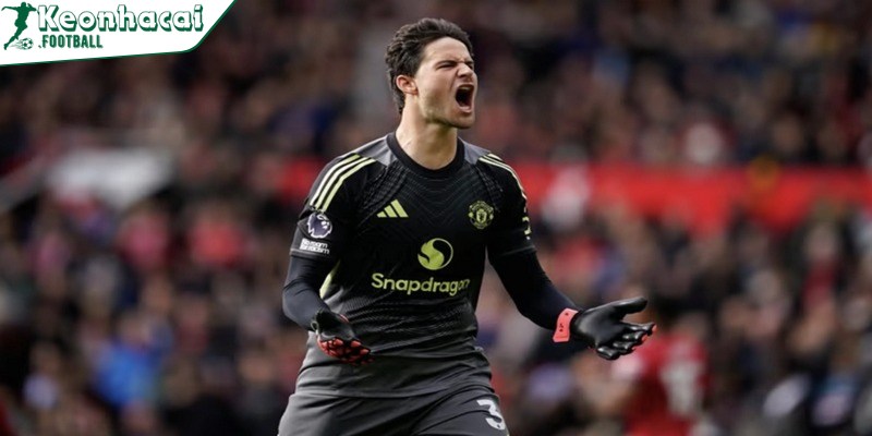 Rio Ferdinand bảo vệ màn trình diễn của Manchester United trước Sunderland